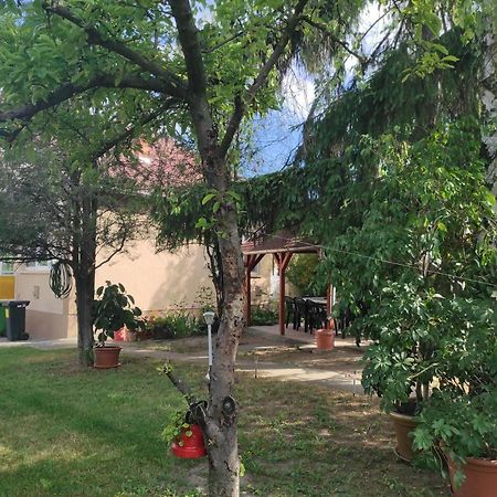 Kovacs Vendeghaz Daire Hajdúszoboszló Dış mekan fotoğraf